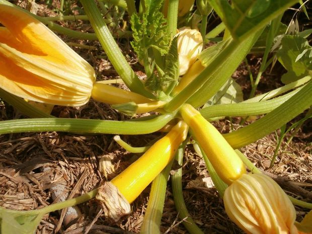 photo: Άντυ Παξινός