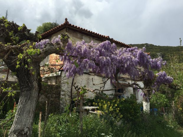 Εκτροφείο πέστροφας, σολομού και οξύρυγχου G-Fish, στο Καστόρι, photo: Κική Τριανταφύλλη