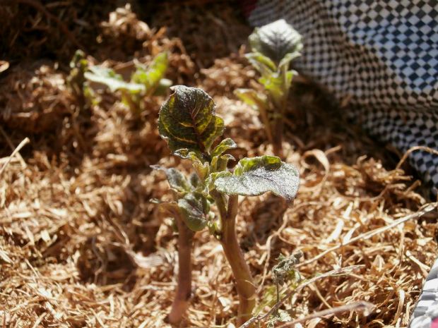 photo: Άντυ Παξινός