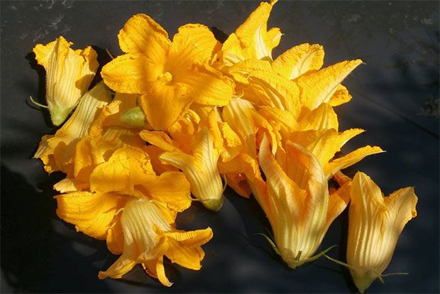 Photo: Παξινός Άντυ