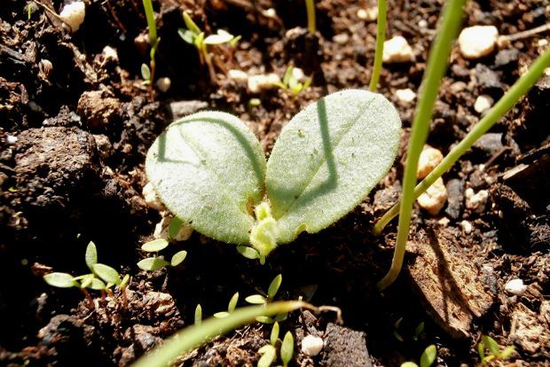 photo: Άντυ Παξινός