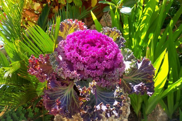 photo: Άντυ Παξινός