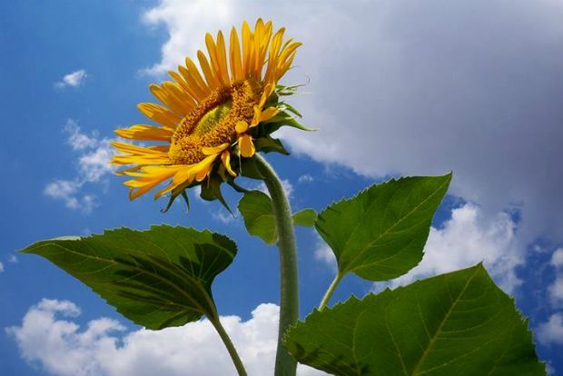 photo: Άντυ Παξινός