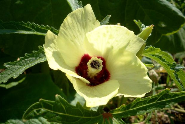 photo: Άντυ Παξινός