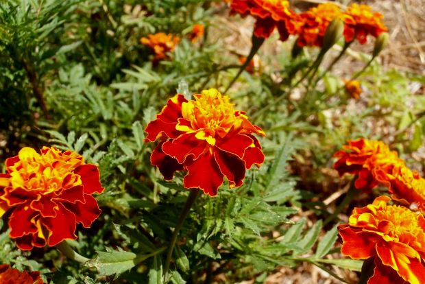 photo: Άντυ Παξινός