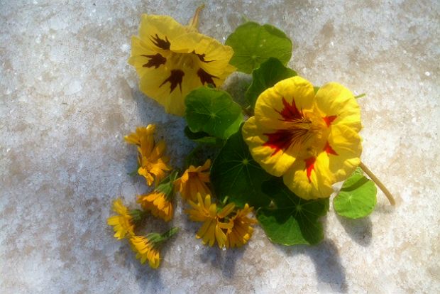 Καλέντουλες και καπουτσίνοι για τη σαλάτα
