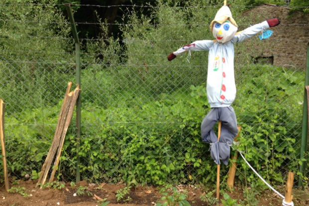 φωτό: Κική Τριανταφύλλη