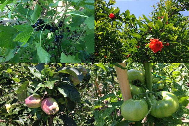 φωτό: Κική Τριανταφύλλη