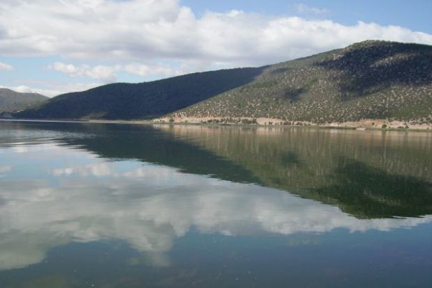 Αφήστε τα ψάρια ήσυχα