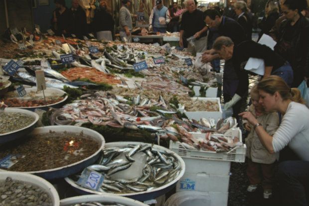 Αγαπάτε τα ψάρια; Ωραία, αλλά τι ξέρετε γι’ αυτά;