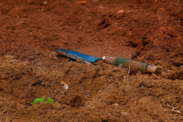 Αγρότης, τι δύσκολο πράγμα