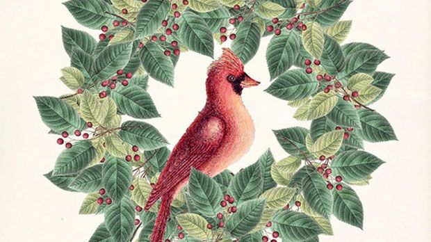 Αν είσαι εραστής της γης και της ζωής αρτίστας…