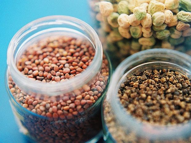 Ανταλλαγή σπόρων