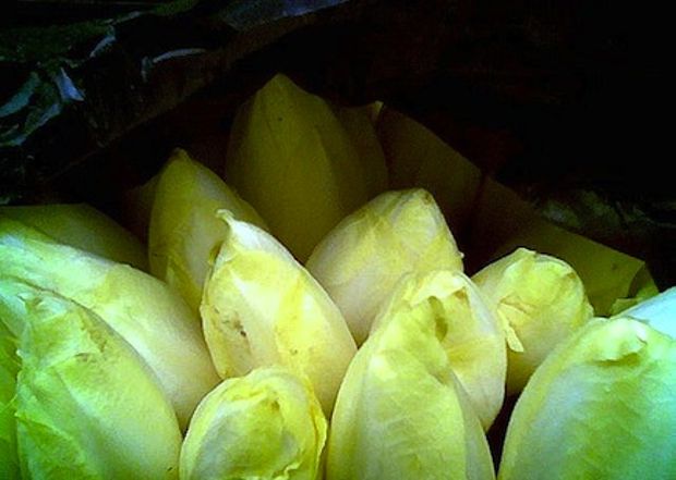 Αντίβ, ένα αλλιώτικο ραδίκι