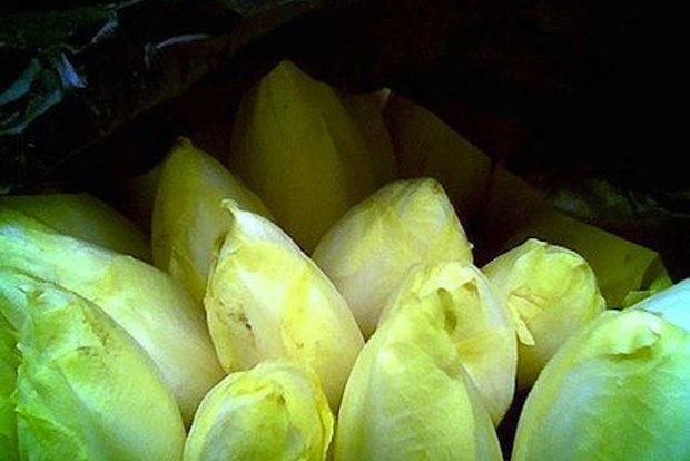 Αντίβ, ένα αλλιώτικο ραδίκι