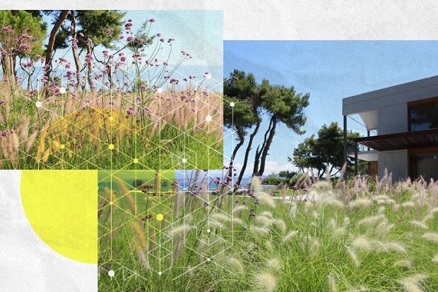 Απόδραση στον κήπο