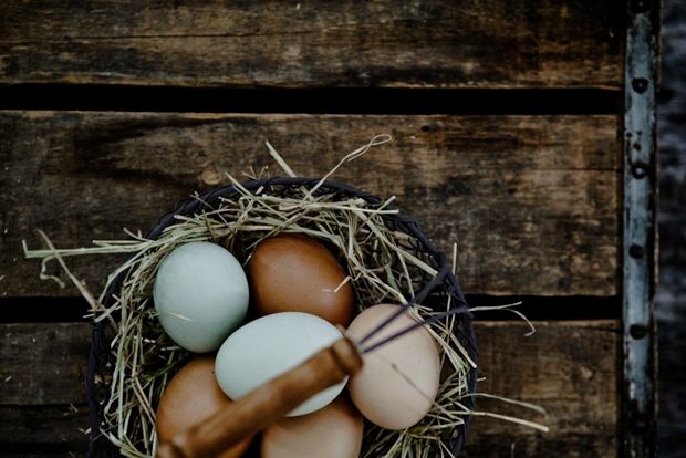 Αυγά άσπρα, αυγά σκούρα