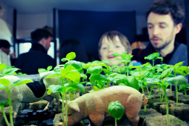 Έχει μέλλον η ελληνική οικοτεχνία;