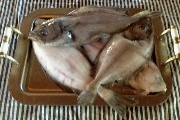 Χειμωνιάτικα μάλλινα όλο θαλπωρή