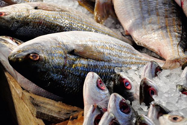 Έχετε ψαράδες ψάρια;