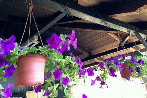 Χωριό μου, χωριουδάκι μου