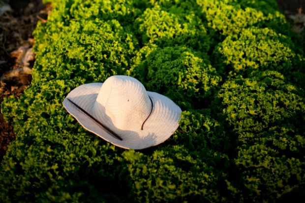 Χρηματοδότηση για «μικρούς»