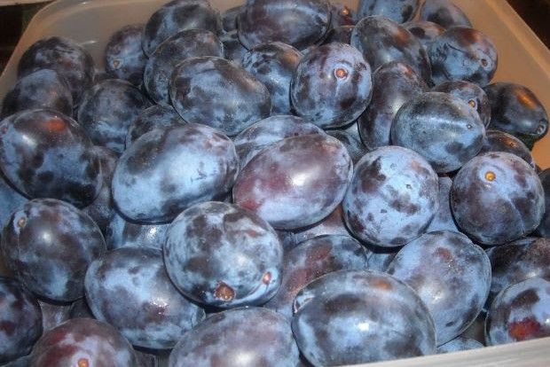 Δαμάσκηνο, γλυκό του κουταλιού