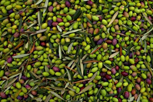 Είμαστε περικυκλωμένοι, έξω τα δαιμόνια!