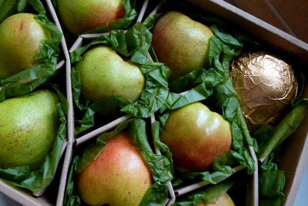 Είσαι συμπαραγωγός;