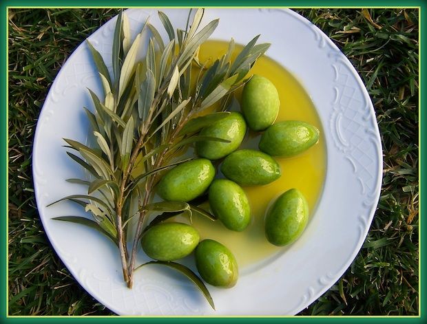 Ελαιόλαδα, λύπη και έλεος!