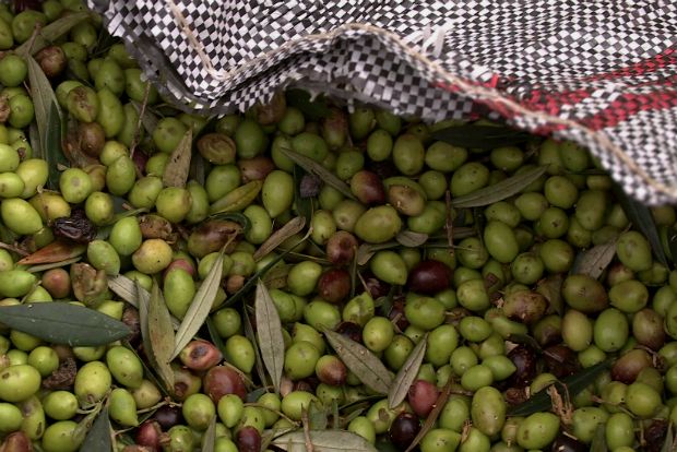 Ελαιόλαδο: Γιατί το κυνηγάτε, κε Υπουργέ;