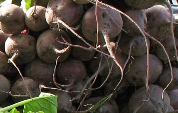 Ελληνικό Καλοκαιρινό Μεσημεριανό Γεύμα: Παντζάρια, Αρμυρίκια, και Παπουτσάκια Μελιτζάνας