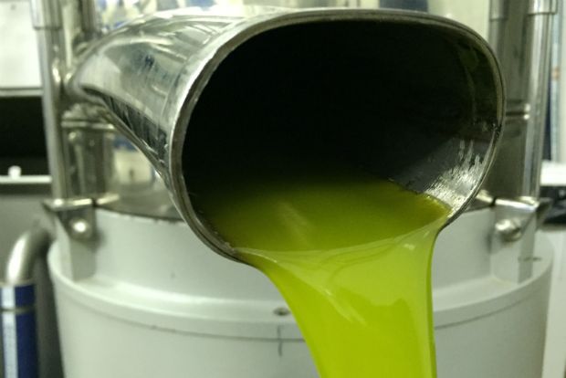 Εμπρός, ξεκινάμε την ελαιοποίηση – Μέρος Α’