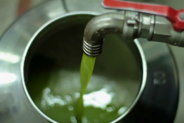 Εμπρός, ξεκινάμε την ελαιοποίηση – Μέρος Β’