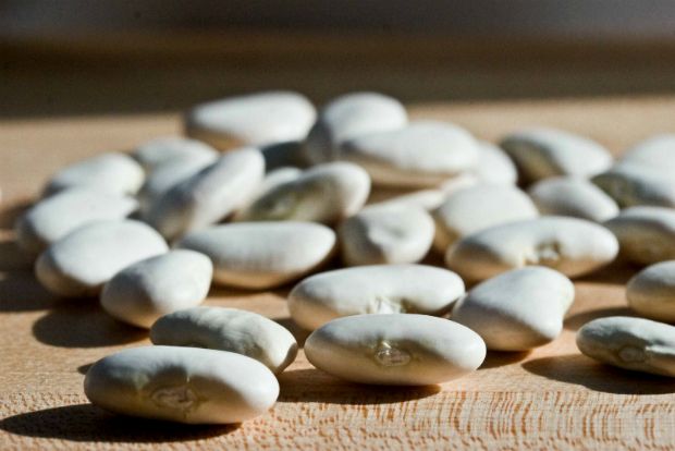 Φασόλια Πρεσπών, τα γνήσια