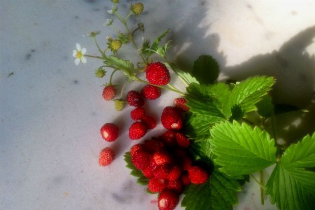 Φράουλες και φραουλίτσες: μαρμελάδα