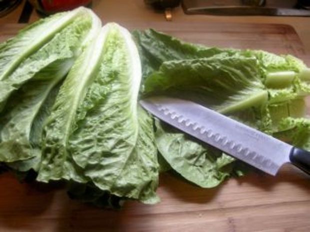 Φρικασέ νηστίσιμο