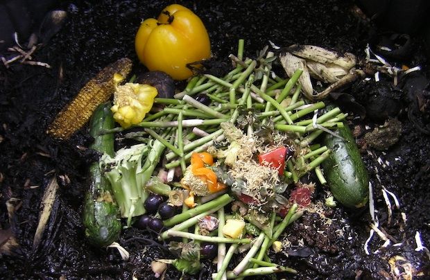 Φτιάχνω: κομπόστ στο μπαλκόνι