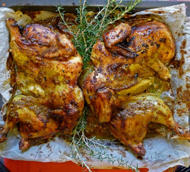 Γαλοπούλα για βιαστικούς και πρωτάρηδες