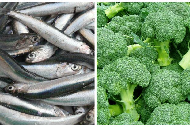 Γαύρος στον φούρνο λαδορίγανη