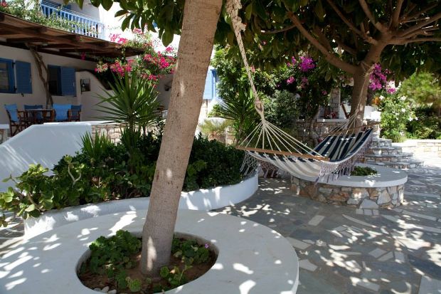 Γεμιστά κολοκύθια με αυγολέμονο, δοκιμάσατε;