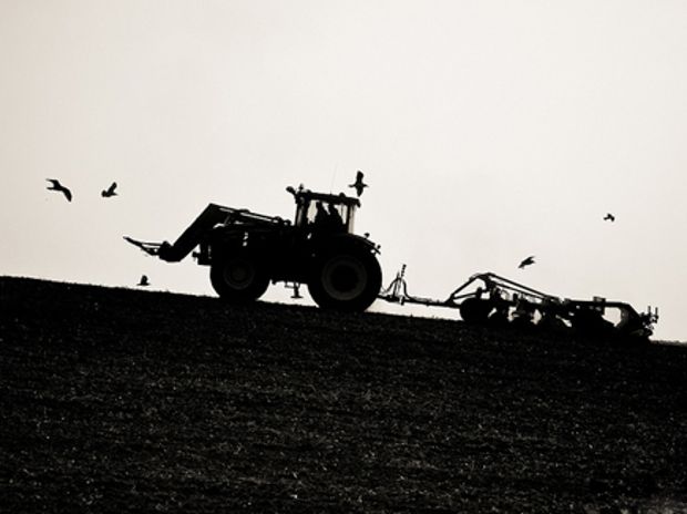 Γεωργία: να την δούμε αλλιώς