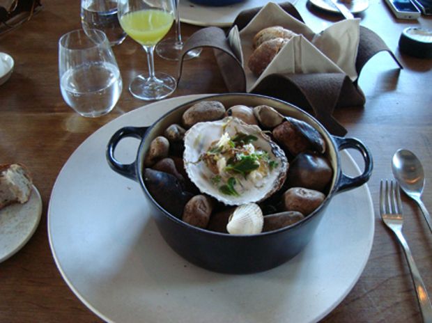 Γιαγιά, συγνώμη που δεν έμαθα ποια χόρτα να μαζεύω