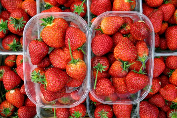 Γιατί ανέβηκε η τιμή της φράουλας;