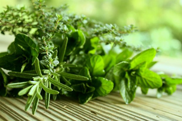 Γιατί να πάω σε σεμινάριο;