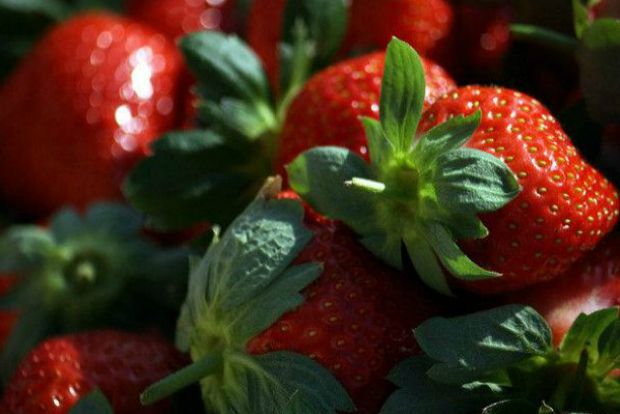 Γιορτάζω, γιορτάζει: τάρτα αμυγδάλου με καραμελωμένες φράουλες