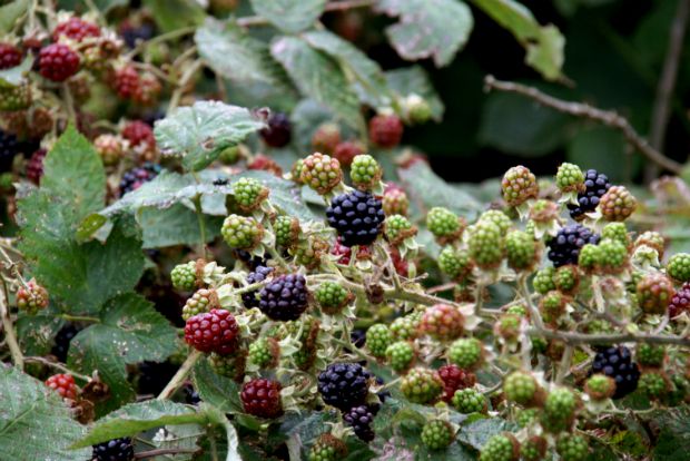 Γιορτάζουμε: το άγχος της διασημότητας