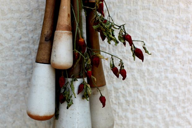 Γκουακαμόλε με φιστίκι: από την Αίγινα στο Μεξικό