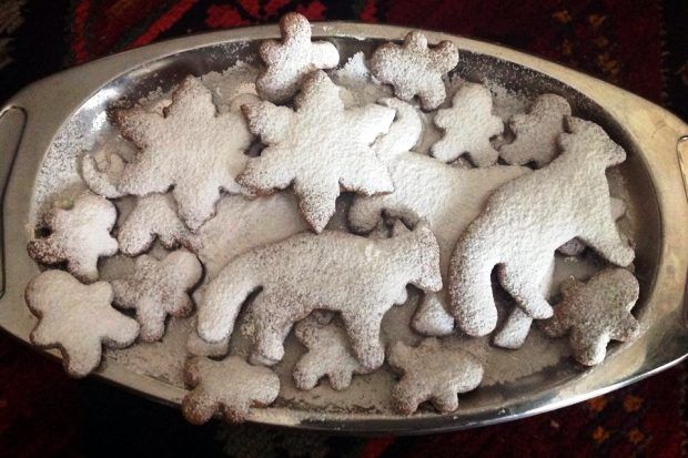 Γλυκοπικάντικα μπισκότα φουλ του μπαχαρικού