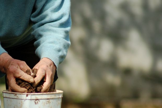 Γόνιμο χώμα στις ταράτσες